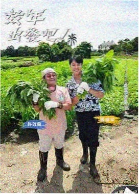 从模特到演员的作品选择路径